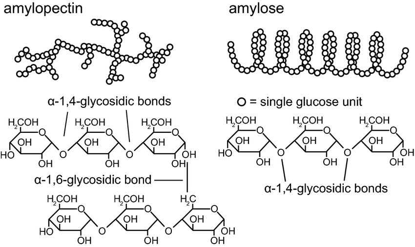 Chemical Structure Of The Corn Starch Constituting Natural Polymers Amylopectin And